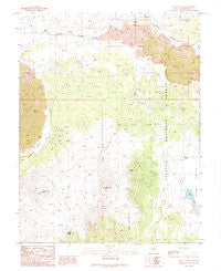 Mount Hicks Nevada Historical topographic map, 1:24000 scale, 7.5 X 7.5 Minute, Year 1989