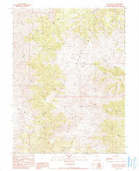 Mt. Augusta Nevada Historical topographic map, 1:24000 scale, 7.5 X 7.5 Minute, Year 1990