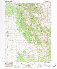 Mt. Taylor Nevada Historical topographic map, 1:24000 scale, 7.5 X 7.5 Minute, Year 1984