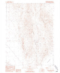 Mustang Spring Nevada Historical topographic map, 1:24000 scale, 7.5 X 7.5 Minute, Year 1990