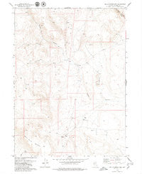 Nellie Spring Mtn Nevada Historical topographic map, 1:24000 scale, 7.5 X 7.5 Minute, Year 1979