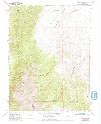 New Pass Peak Nevada Historical topographic map, 1:24000 scale, 7.5 X 7.5 Minute, Year 1969