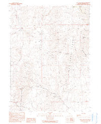 New York Peak Nevada Historical topographic map, 1:24000 scale, 7.5 X 7.5 Minute, Year 1990