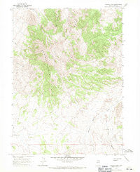 Ninemile Mtn Nevada Historical topographic map, 1:24000 scale, 7.5 X 7.5 Minute, Year 1967