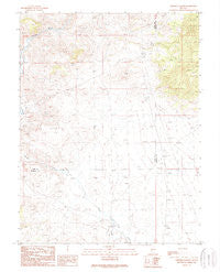Ninemile Peak Nevada Historical topographic map, 1:24000 scale, 7.5 X 7.5 Minute, Year 1989