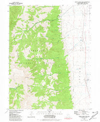 North Schell Peak Nevada Historical topographic map, 1:24000 scale, 7.5 X 7.5 Minute, Year 1981