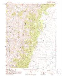 North Toiyabe Peak Nevada Historical topographic map, 1:24000 scale, 7.5 X 7.5 Minute, Year 1988