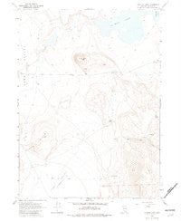 Painted Point Nevada Historical topographic map, 1:24000 scale, 7.5 X 7.5 Minute, Year 1966