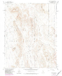 Paiute Ridge Nevada Historical topographic map, 1:24000 scale, 7.5 X 7.5 Minute, Year 1961