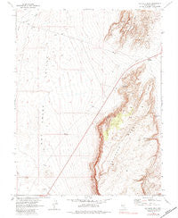 Palisade Mesa Nevada Historical topographic map, 1:24000 scale, 7.5 X 7.5 Minute, Year 1967