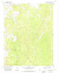 Panaca Summit Nevada Historical topographic map, 1:24000 scale, 7.5 X 7.5 Minute, Year 1972