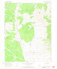Parker Station Nevada Historical topographic map, 1:24000 scale, 7.5 X 7.5 Minute, Year 1969