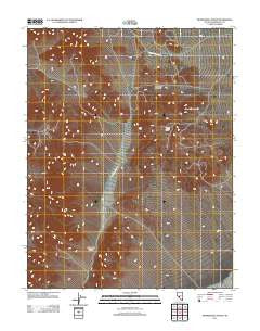 Paymaster Canyon Nevada Historical topographic map, 1:24000 scale, 7.5 X 7.5 Minute, Year 2011