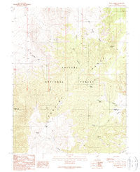 Petes Summit Nevada Historical topographic map, 1:24000 scale, 7.5 X 7.5 Minute, Year 1989