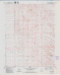 Pilot Cone Nevada Historical topographic map, 1:24000 scale, 7.5 X 7.5 Minute, Year 1979