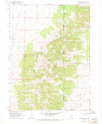 Pilot Peak Nevada Historical topographic map, 1:24000 scale, 7.5 X 7.5 Minute, Year 1967