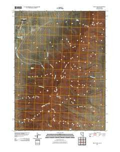 Pilot Peak Nevada Historical topographic map, 1:24000 scale, 7.5 X 7.5 Minute, Year 2011