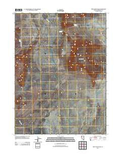 Pinto Mountain Nevada Historical topographic map, 1:24000 scale, 7.5 X 7.5 Minute, Year 2011