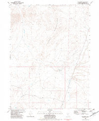 Placerites Nevada Historical topographic map, 1:24000 scale, 7.5 X 7.5 Minute, Year 1981