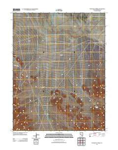 Poinsettia Spring Nevada Historical topographic map, 1:24000 scale, 7.5 X 7.5 Minute, Year 2011