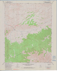 Rattlesnake Flat Nevada Historical topographic map, 1:24000 scale, 7.5 X 7.5 Minute, Year 1967