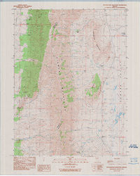 Rattlesnake Mountain Nevada Historical topographic map, 1:24000 scale, 7.5 X 7.5 Minute, Year 1990