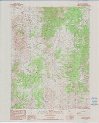 Red Butte Nevada Historical topographic map, 1:24000 scale, 7.5 X 7.5 Minute, Year 1990