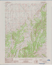 Red Spring Nevada Historical topographic map, 1:24000 scale, 7.5 X 7.5 Minute, Year 1985