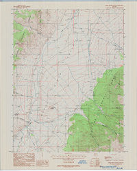 Reese River Butte Nevada Historical topographic map, 1:24000 scale, 7.5 X 7.5 Minute, Year 1988