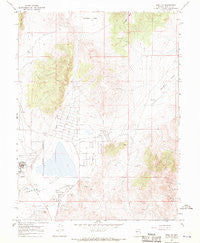 Reno NE Nevada Historical topographic map, 1:24000 scale, 7.5 X 7.5 Minute, Year 1967