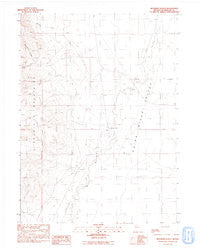 Riverside Ranch Nevada Historical topographic map, 1:24000 scale, 7.5 X 7.5 Minute, Year 1991