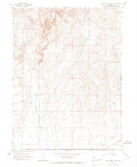 Rock Creek Ranch Nevada Historical topographic map, 1:24000 scale, 7.5 X 7.5 Minute, Year 1965