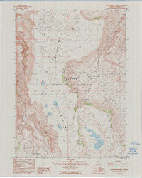 Rock Spring Table Nevada Historical topographic map, 1:24000 scale, 7.5 X 7.5 Minute, Year 1990