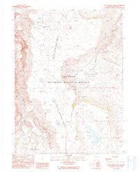 Rock Springs Table Nevada Historical topographic map, 1:24000 scale, 7.5 X 7.5 Minute, Year 1990