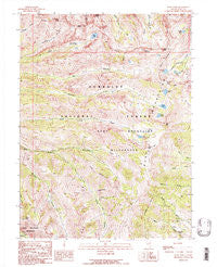 Ruby Dome Nevada Historical topographic map, 1:24000 scale, 7.5 X 7.5 Minute, Year 1990