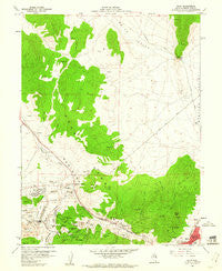 Ruth Nevada Historical topographic map, 1:24000 scale, 7.5 X 7.5 Minute, Year 1958