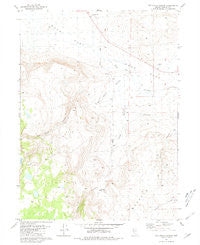 Rye Patch Canyon Nevada Historical topographic map, 1:24000 scale, 7.5 X 7.5 Minute, Year 1981