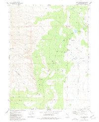 Salt Marsh Nevada Historical topographic map, 1:24000 scale, 7.5 X 7.5 Minute, Year 1980