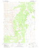 Salt Marsh Nevada Historical topographic map, 1:24000 scale, 7.5 X 7.5 Minute, Year 1980
