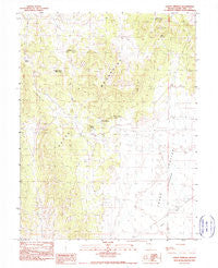 Sammy Springs Nevada Historical topographic map, 1:24000 scale, 7.5 X 7.5 Minute, Year 1990