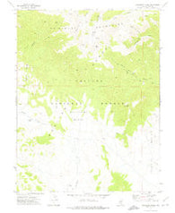 Saulsbury Basin Nevada Historical topographic map, 1:24000 scale, 7.5 X 7.5 Minute, Year 1971