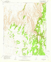 Silent Butte Nevada Historical topographic map, 1:24000 scale, 7.5 X 7.5 Minute, Year 1962