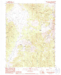 Spring Valley Summit Nevada Historical topographic map, 1:24000 scale, 7.5 X 7.5 Minute, Year 1990