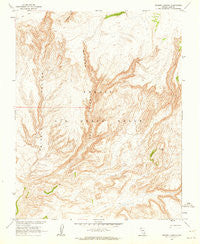 Thirsty Canyon Nevada Historical topographic map, 1:24000 scale, 7.5 X 7.5 Minute, Year 1962