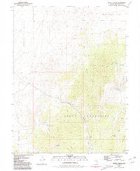 Tippett Canyon Nevada Historical topographic map, 1:24000 scale, 7.5 X 7.5 Minute, Year 1981