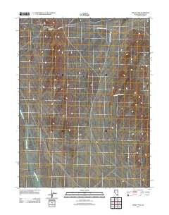 Tippett Pass Nevada Historical topographic map, 1:24000 scale, 7.5 X 7.5 Minute, Year 2012