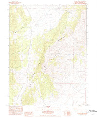 Tognini Spring Nevada Historical topographic map, 1:24000 scale, 7.5 X 7.5 Minute, Year 1982