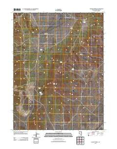 Tognini Spring Nevada Historical topographic map, 1:24000 scale, 7.5 X 7.5 Minute, Year 2012