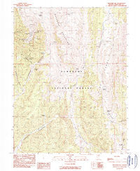 Treasure Hill Nevada Historical topographic map, 1:24000 scale, 7.5 X 7.5 Minute, Year 1990