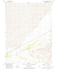 Trego Hot Spring Nevada Historical topographic map, 1:24000 scale, 7.5 X 7.5 Minute, Year 1980